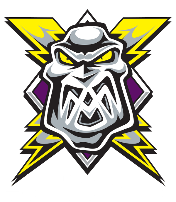 Manchester Storm 2015-Pres Primary Logo iron on heat transfer...